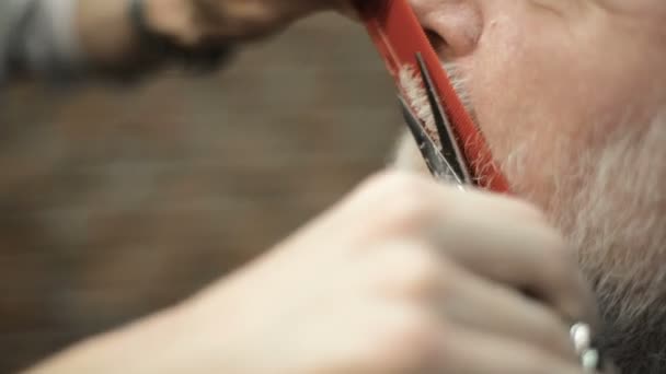 Active retired elderly old bearded senior man aged with graying hair in barber shop hairstylist — Stock Video