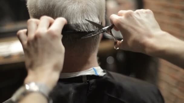 Anciano jubilado activo viejo barbudo anciano envejecido con el pelo canoso en peluquería estilista — Vídeos de Stock