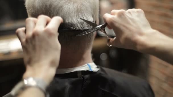 Actieve gepensioneerde ouderen oude bebaarde senior man leeftijd met grijzende haren in kapper winkel haarstylist — Stockvideo