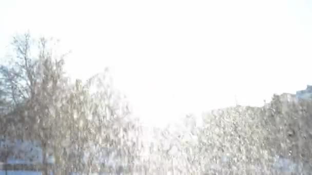 若い女性が屋外に雪をスローします。 — ストック動画