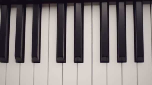 Vue rapprochée des touches de piano — Video