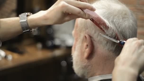 Anciano jubilado activo viejo barbudo anciano envejecido con el pelo canoso en peluquería estilista — Vídeo de stock