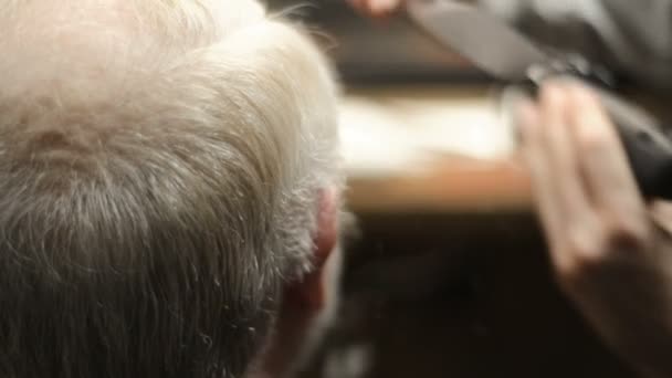 Active retired elderly old bearded senior man aged with graying hair in barber shop hairstylist — Stock Video