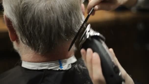 Actieve gepensioneerde ouderen oude bebaarde senior man leeftijd met grijzende haren in kapper winkel haarstylist — Stockvideo