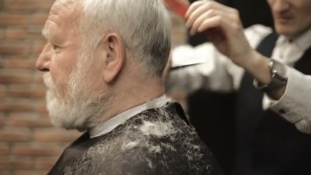 Aktív nyugdíjas idősek öreg szakállas vezető férfi idősebb, őszülő haj fodrász üzlet fodrász — Stock videók