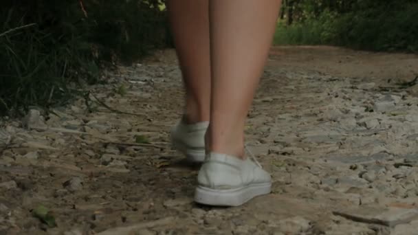 Las piernas de una chica va, caminar desde la cámara en un camino rocoso en un parque o bosque. Viajes, viajes, vacaciones, concepto turístico . — Vídeos de Stock