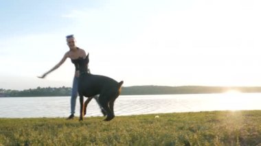 kız ya da kadın ve yakın göl günbatımı arka plan üzerinde parkta Doberman Pinscher köpek ile oynamak vardır