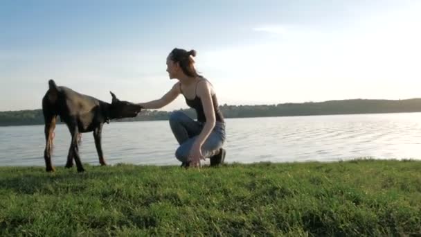 Fille ou femme est marcher et jouer avec le chien Doberman Pinscher dans le parc près du lac sur le fond de coucher de soleil — Video