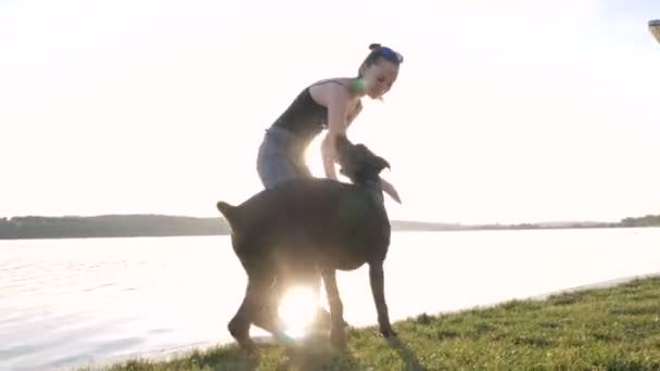 Lány, vagy nő a séta és játszani a Doberman Pinscher kutyát a parkban, a háttérben a naplemente a tónál — Stock videók