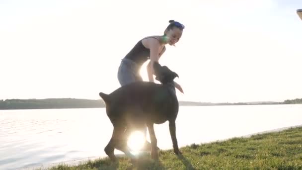 女孩或妇女是步行和玩耍与杜宾猎犬狗在公园附近的湖泊日落背景 — 图库视频影像
