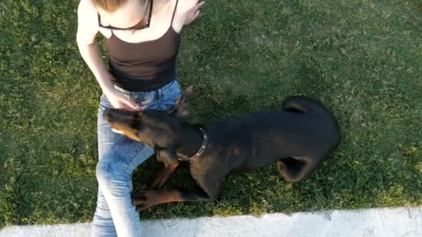 Mädchen oder Frau spazieren und spielen mit Dobermann Pinscher Hund im Park in der Nähe des Sees vor dem Hintergrund des Sonnenuntergangs — Stockvideo