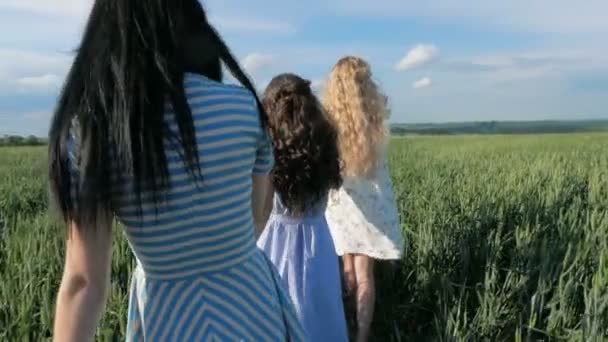 Tres hermosas damas o mujeres en el campo de trigo — Vídeos de Stock