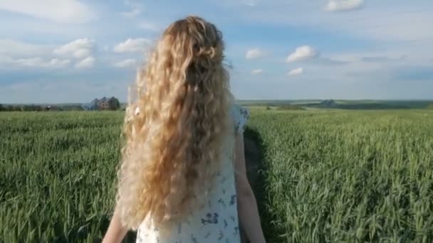 Hermosa rubia señora corriendo en campo de trigo — Vídeo de stock
