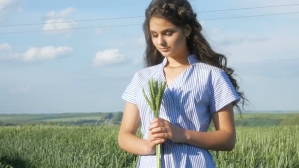 El concepto de paz, no de guerra. Mujer sosteniendo espiga de trigo. Tres hermosas damas o mujeres en el campo de trigo — Vídeo de stock