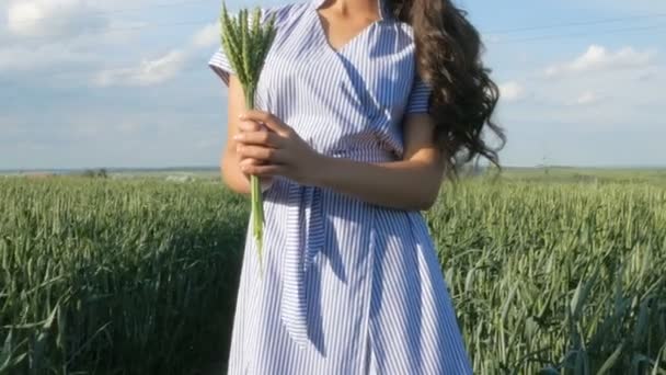 El concepto de paz, no de guerra. Mujer sosteniendo espiga de trigo. Tres hermosas damas o mujeres en el campo de trigo — Vídeo de stock