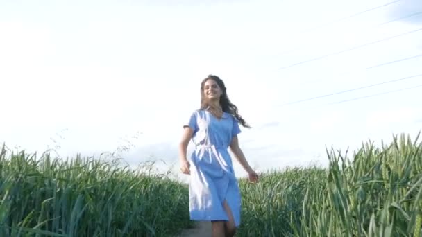 Beautiful lady Running in wheat field — Stock Video