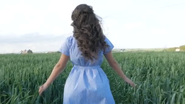 Schöne Frau läuft im Weizenfeld — Stockvideo