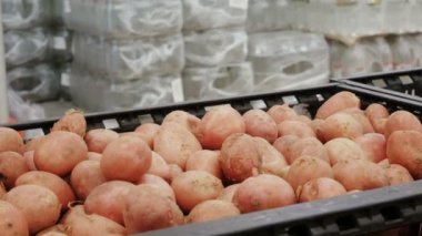 Bir kadın bir süpermarkette sebze, satın almak patates