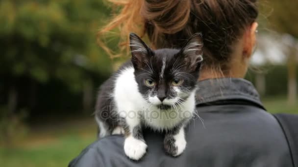 Katt som sitter på en axel på flickan. Utomhus — Stockvideo