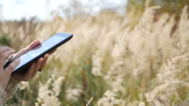 Primeros planos de las manos de las mujeres utilizando la tableta digital pantalla táctil — Vídeos de Stock