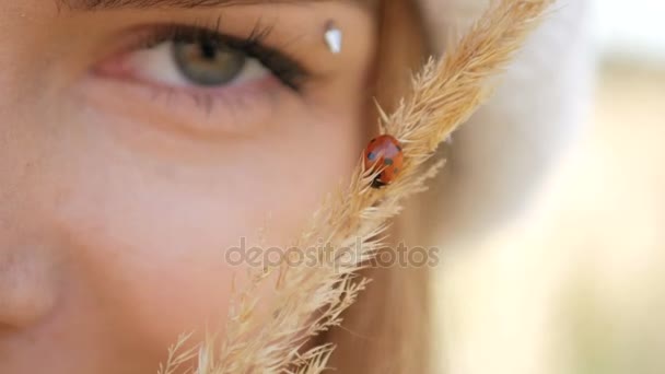 La ragazza tiene sul puledro una coccinella — Video Stock