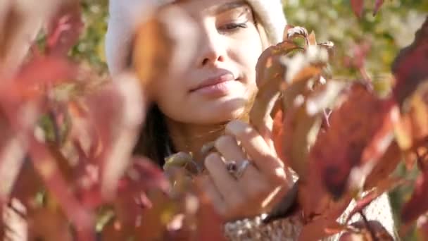 Vrouw bewonderen de gele bladeren in de herfst park. — Stockvideo