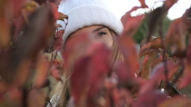 Mujer admirar las hojas amarillas en el parque de otoño . — Vídeo de stock