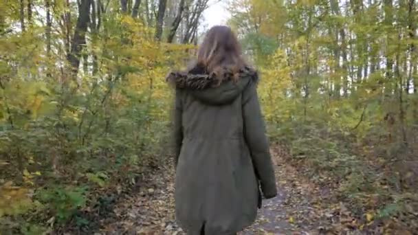 Giovane femmina Passeggiata tra gli alberi nella foresta autunnale — Video Stock