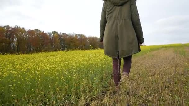 Schoonheid romantische meisje lopen alleen via de gele tarweveld verkrachting. Jonge vrouw genieten van natuur buiten. Eenzaamheid met de natuur. — Stockvideo