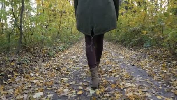 Joven hembra caminando entre árboles en bosque otoñal — Vídeos de Stock