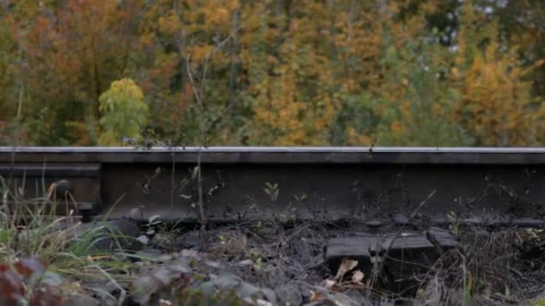 Женщина, идущая в равновесии по железной дороге — стоковое видео