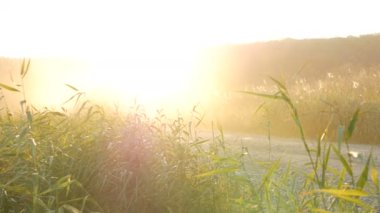 : Ukrayna Ternopil 10.10.2017 kamyon yolda. Kargo taşımacılığı