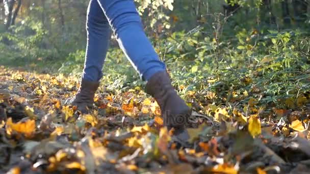 Nohy žena chůze v podzimním parku na slunečný den — Stock video