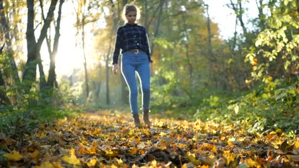 Legs of woman walking in autumn park on sunny day — Stock Video