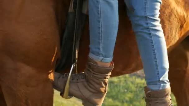 Jezdecký sport. Drezurní jezdec a kůň closeup boot v třmenu — Stock video