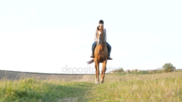 Mujer joven montando un caballo en el campo. Deporte ecuestre — Vídeos de Stock