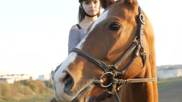 Jeune femme chevauchant un cheval à la campagne. Sport équestre — Video