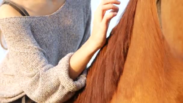 Młoda kobieta dbać o jej konia — Wideo stockowe