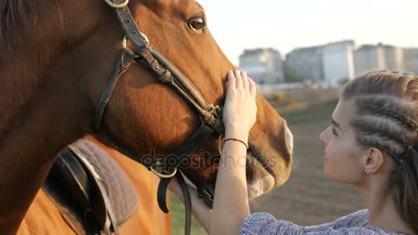 Joven mujer cuidar de su caballo — Vídeo de stock