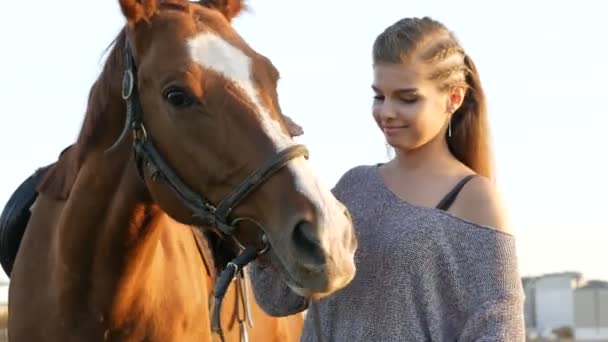 Jovem mulher cuidar de seu cavalo — Vídeo de Stock