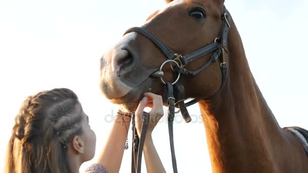 Jovem mulher cuidar de seu cavalo — Vídeo de Stock