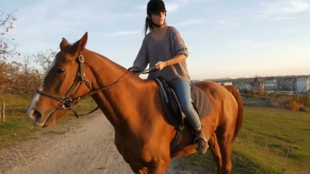 Jonge vrouw rijden een paard op het platteland. Hippische sport — Stockvideo