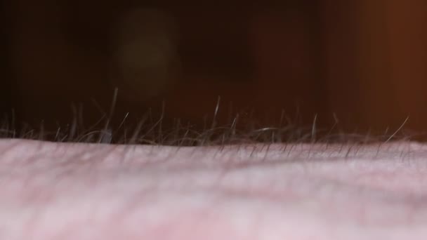 Close-up λεπτομέρεια του ανθρώπινου δέρματος με μαλλιά — Αρχείο Βίντεο