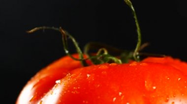 siyah arka plan üzerine organik kırmızı domates