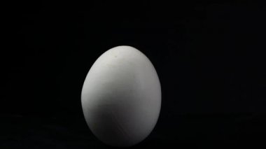 Siyah arka plan üzerine ilmekledi hareketi yumurta