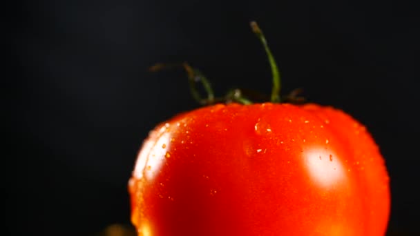 Tomate rojo orgánico sobre fondo negro — Vídeo de stock