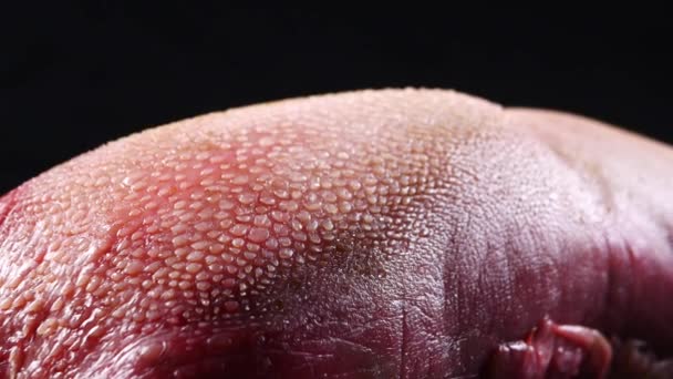 Raw beef pink cow tongue on black background — Stock Video