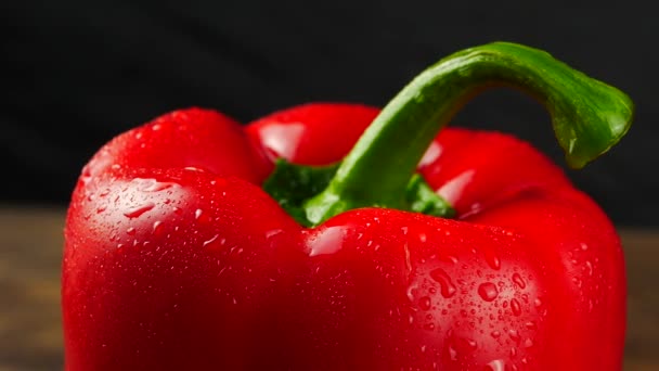 Zoete rode peper op zwarte achtergrond close-up — Stockvideo