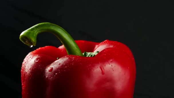 Zoete rode peper op zwarte achtergrond close-up — Stockvideo