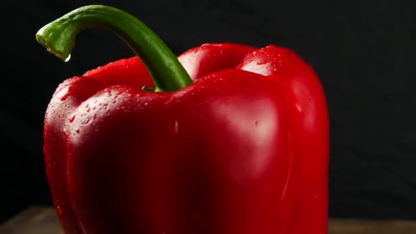 Sweet red pepper on black background close up — Stock Video